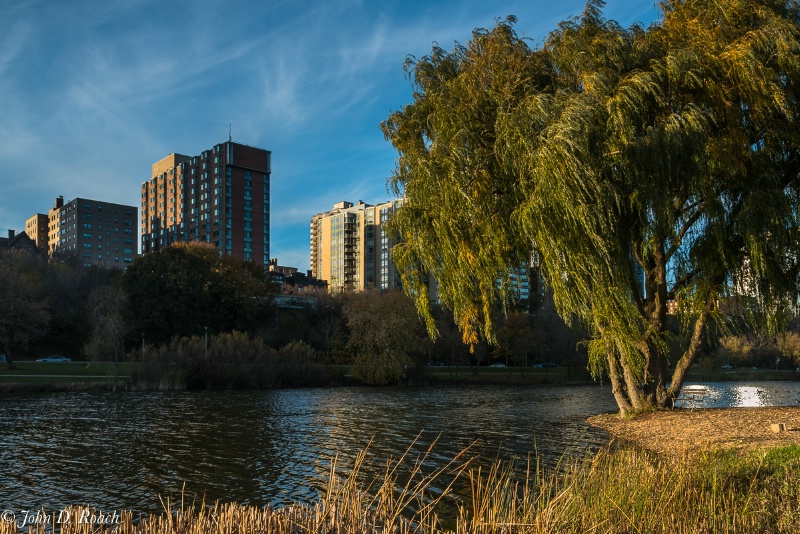 Eastside condos viewed from the lagoon
