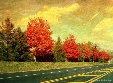 A Fall's Road