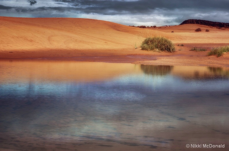 Coral Pink Sand Dunes Reflection