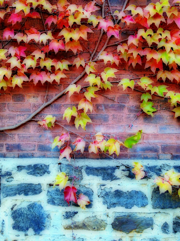 Fall on wall