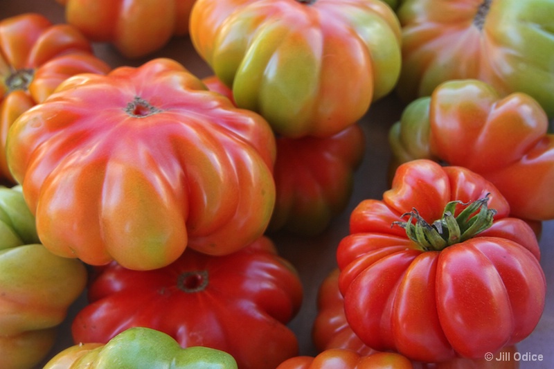 Genuwine Tomatoes
