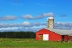 Silos Like Smokes...