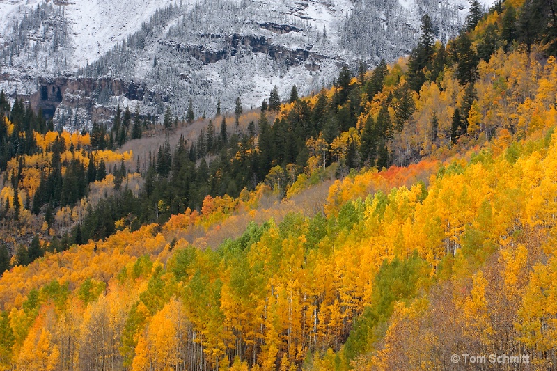 Maroon Bells Autumn