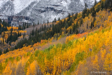 Maroon Bells Autumn