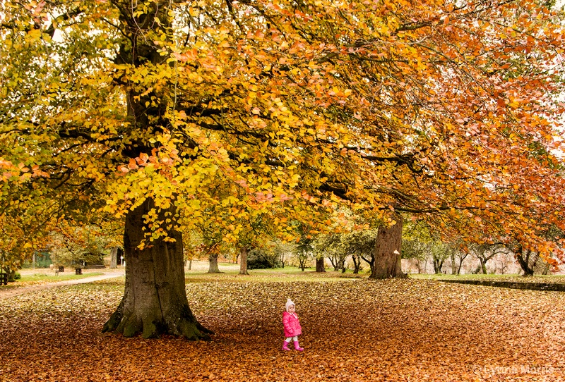 A Walk In The Park