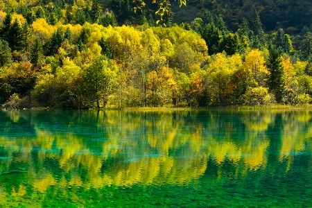 Five colors pond