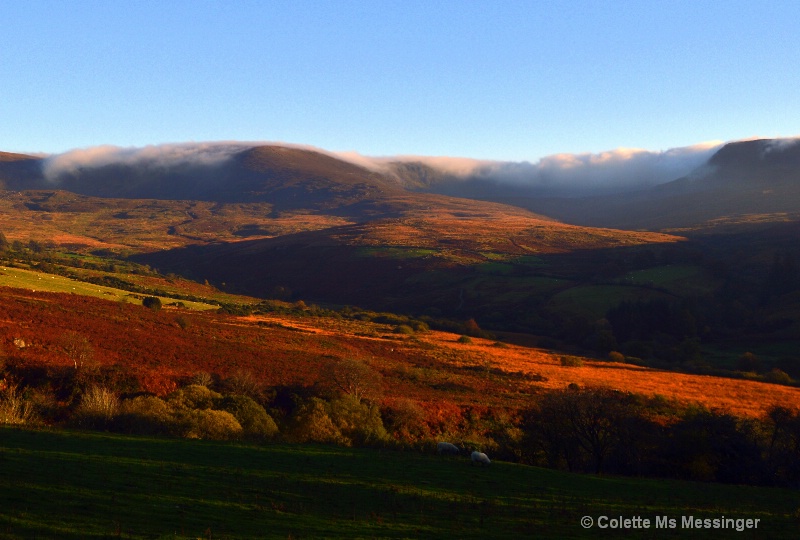 autumn colours the nire 15