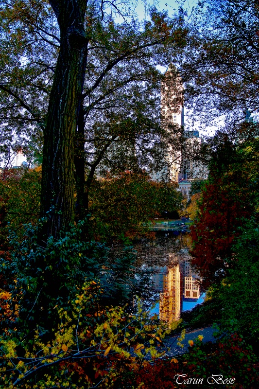 View at Central Park, New York city.