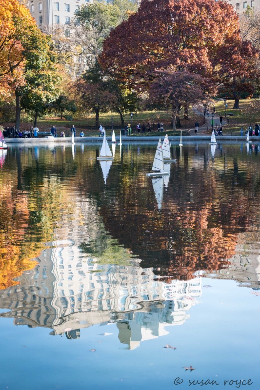 Sailing Through Fall