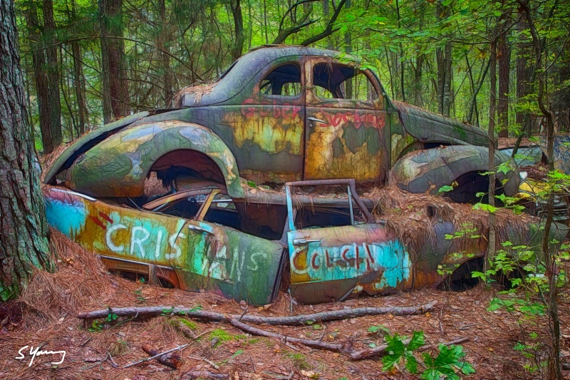 Sandwich; Old Car City; White, Ga - ID: 15038235 © Richard S. Young