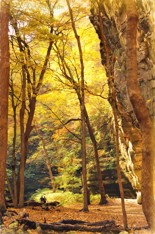 Hiking the Canyon