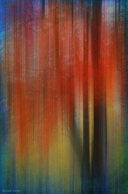 Autumn Tree Abstract