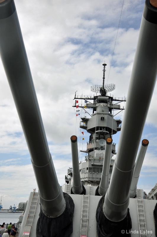 Mighty Mo's Big Guns at Attention - ID: 15038689 © Linda Estes