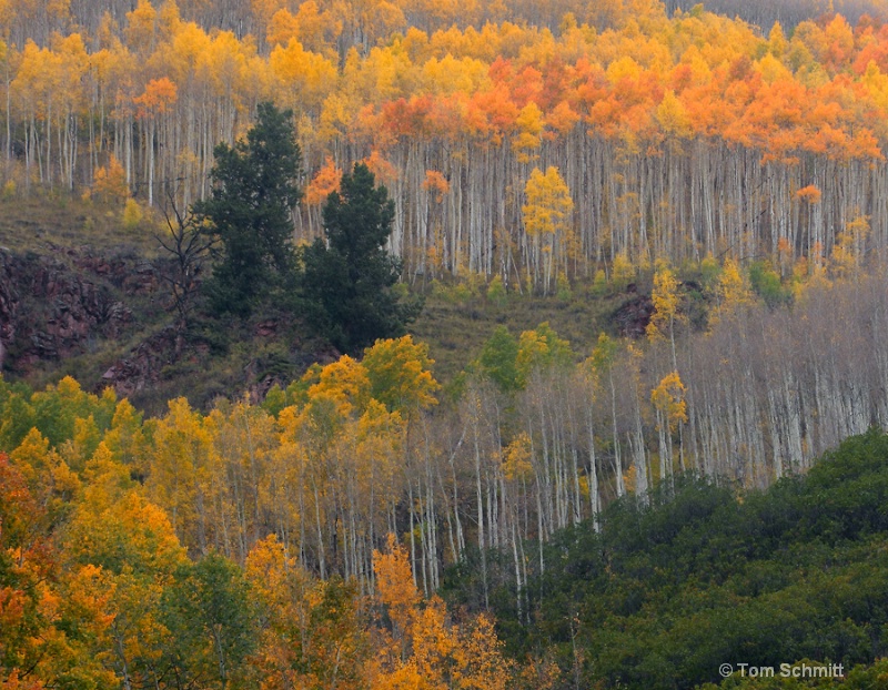 Maroon Creek Colors