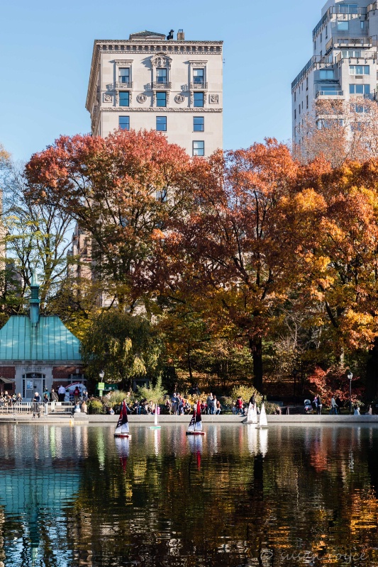 Fall in Central Park