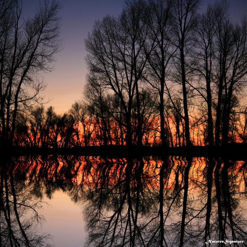 ~ Sunset in Wyoming ~ - ID: 15040417 © Trudy L. Smuin