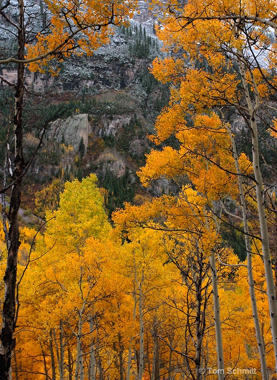 Maroon Creek Autumn