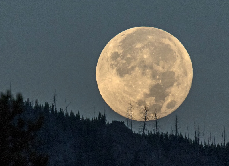 Super Moon Setting Over Yellowstone         