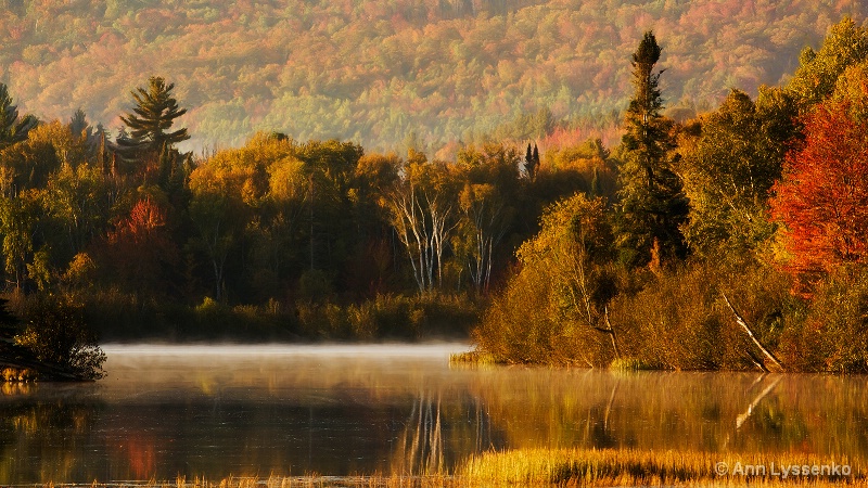 Mist By the Shore