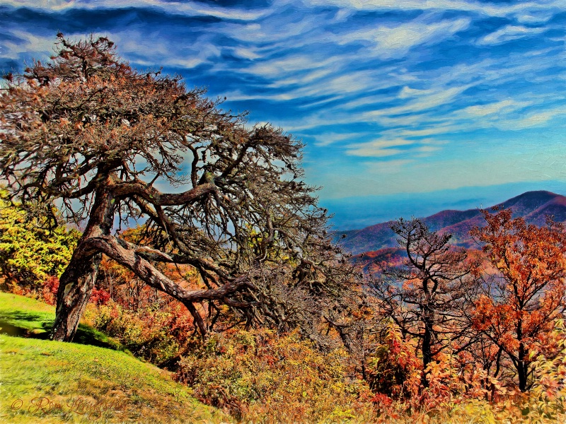 Dead Tree