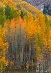 Maroon Lake Autum...