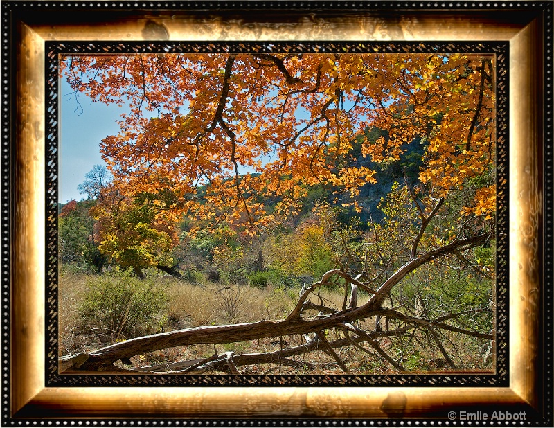Autumn at Lost Maples - ID: 15042987 © Emile Abbott
