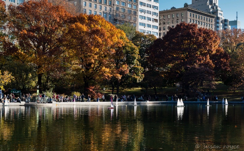 Central Park in Fall