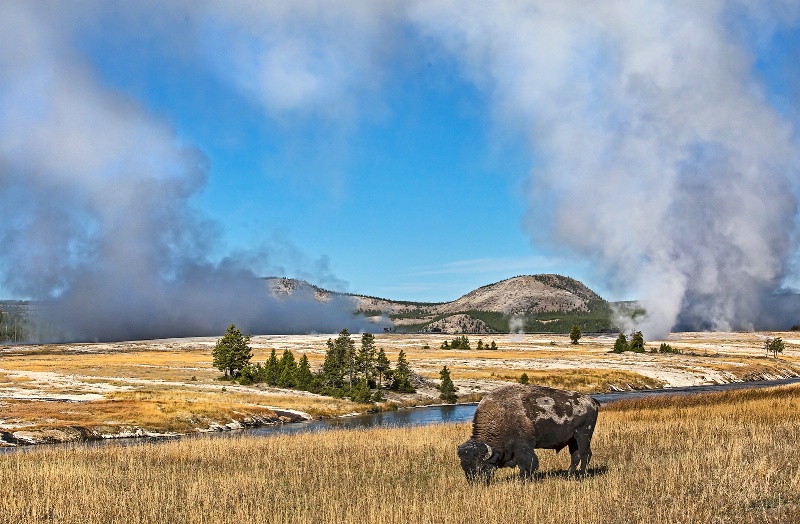 Yellowstone Vista      