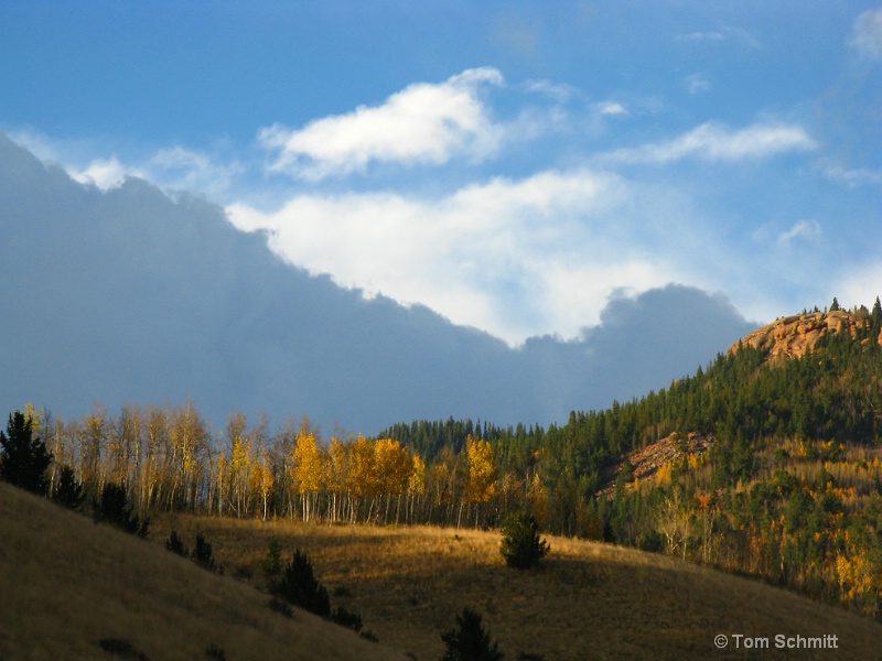 Aspen Light