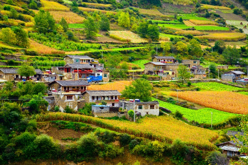 Terraces village