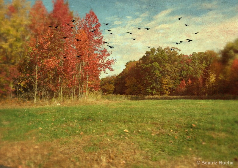 img2