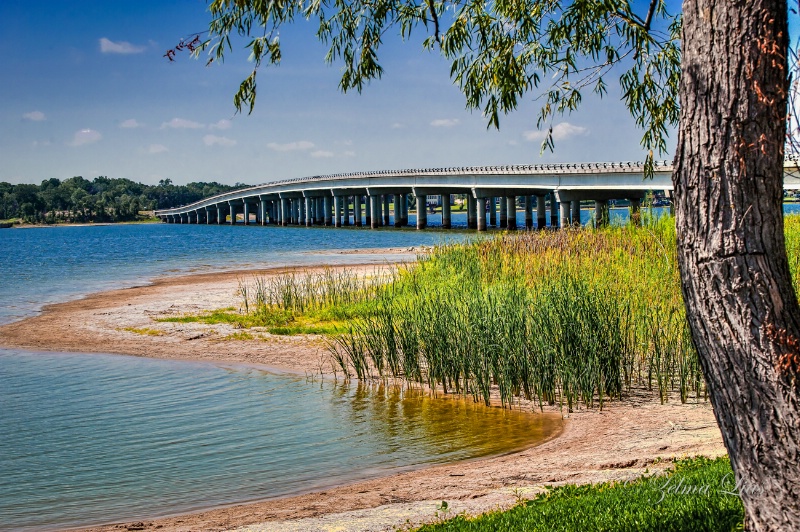 Bridge on Cedar Reservoir