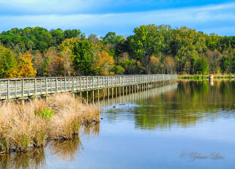 Walking Bridge in Gadsden AL