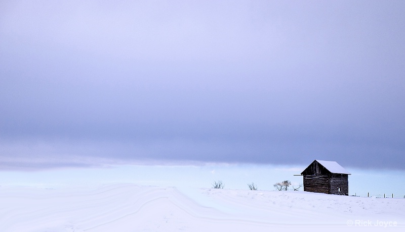 Shack in Snow