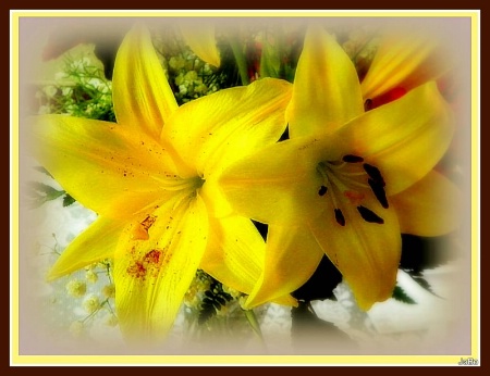 They Call Me "Mellow Yellow"2 (redo)