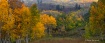 Aspen Wide