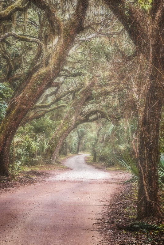 Into the Woods
