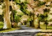 Fall Trees