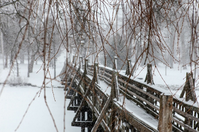 Footbridge in the Snow