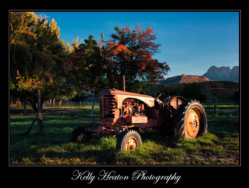 Old Tractor in Grafton