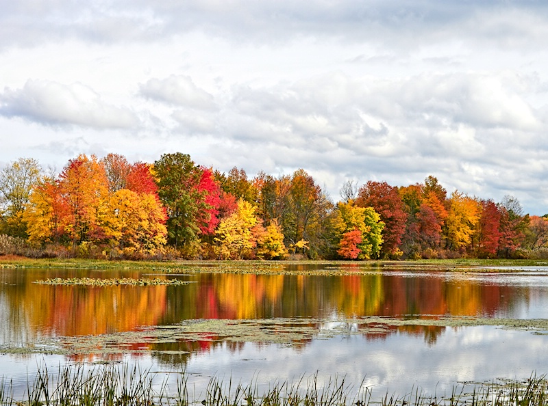 Autumn Reflections