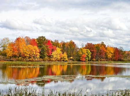 Autumn Reflections