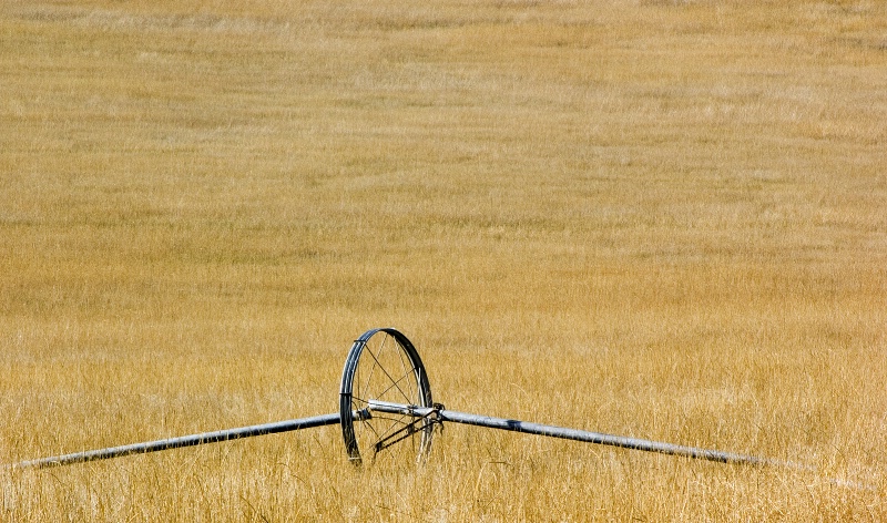 Irrigation Wheel