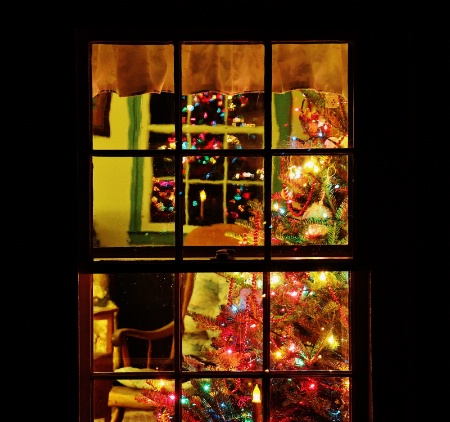 Christmas Tree Reflection
