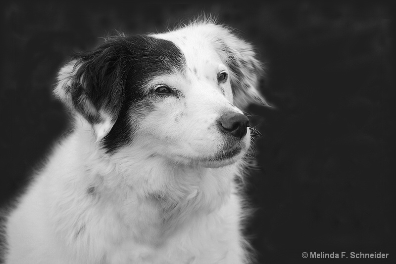 Annie in black and white