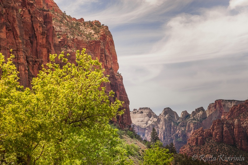 Zion NP