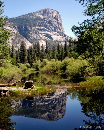 Mirror Reflections