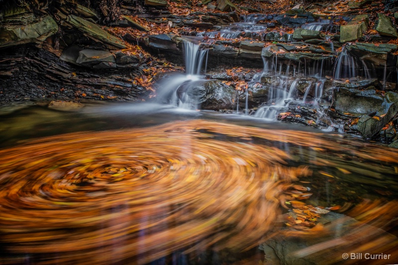 Gift of Autumn - ID: 15048965 © Bill Currier