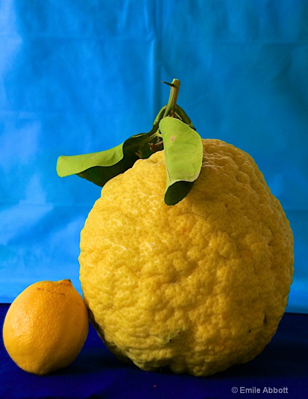 Texas lemon