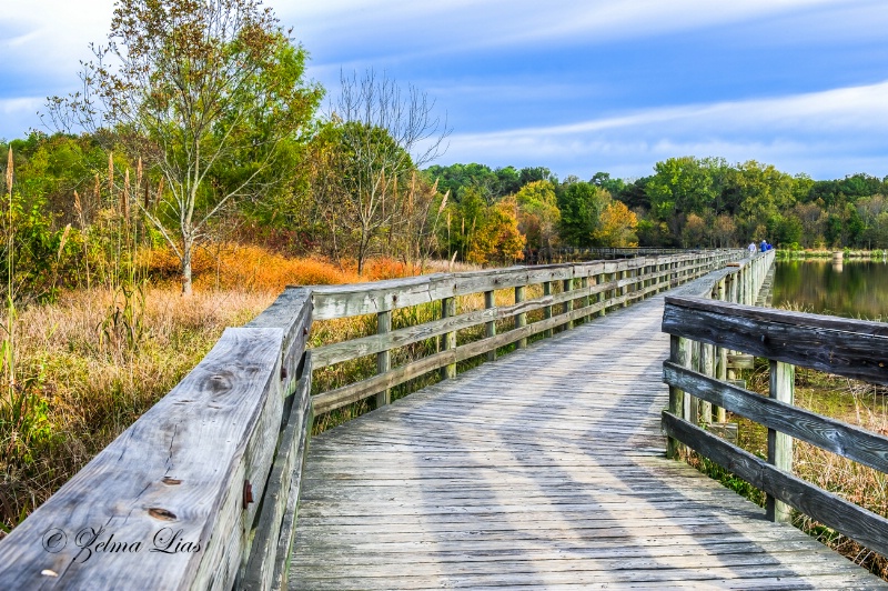 Walking Bridge in Gadsden AL